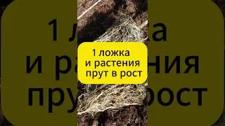 1 ложка и Урожай больше, Проблем меньше.  