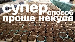 Стаканчики на рассаду своими руками. Самый лёгкий способ