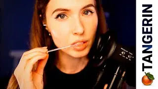 ASMR Mouth Sounds / Purring / Kisses & Spoolie Nibbling | Tangerin