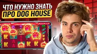 💥 Обзор Слота Dog House Megaways - БОНУСКА, RTP, ВСЕ о ШАНСАХ на ВЫИГРЫШ