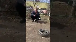 Это лечится как-то?