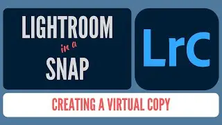 How to Create a Virtual Copy in Lightroom Classic