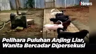 Pelihara Puluhan Anjing Liar, Wanita Bercadar Dipersekusi Part I - iNews Sore 16/03