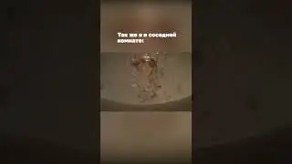 Мы покакали в Москве
