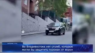 Воздушные атаки: во Владивостоке участились случаи нападения ворон