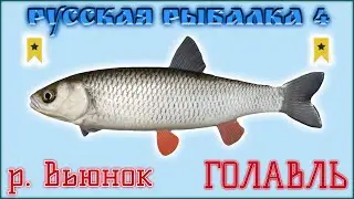 РР4 ВЬЮНОК ГОЛАВЛЬ / РУССКАЯ РЫБАЛКА 4 ВЬЮНОК ГОЛАВЛЬ / RUSSIAN FISHING 4 WINDING RIVULET CHUB