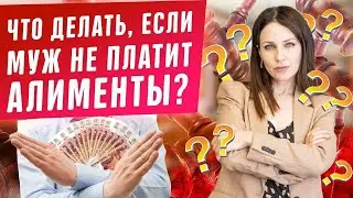 Бывший муж не платит алименты, что делать?! Меры воздействия! Законное взыскание алиментов на детей