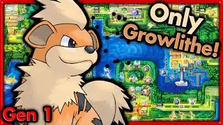 Can I Beat Pokemon Red with ONLY Growlithe? 🔴 Pokemon Challenges ► NO ITEMS IN BATTLE