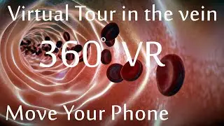 A Virtual Reality tour inside the vein 360° blood vessel medical animation #360 #vr