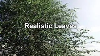 Creating double sided leaves in Blender
