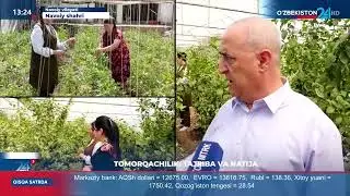 🍊Юсуф Каримов иссиқҳонада лимон, апельсин, мандарин ва банан, полиз экинлардан етиштириб келмоқда