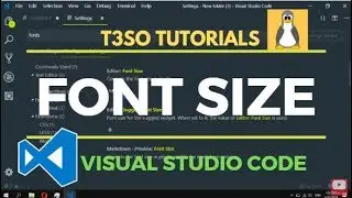 How to change Font size in Visual Studio Code