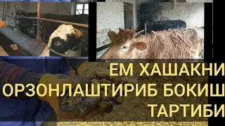 УЙ ШАРОИТИДА МОЛ БОКИШ ОРЗОНЛАШТИРИЛГАН РЕЖИМДА БОКИШ