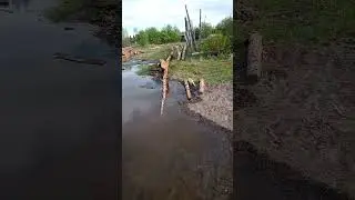 Тонем!!!