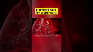 The Role of Nervonic Acid in Brain Health | Acer Truncatum Extract Nervonic Acid Manufacturer