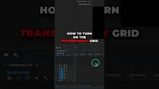 How to Turn on the Transparency Grid in Premiere Pro 2024