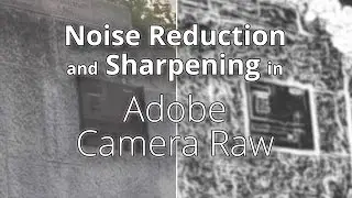 Noise Reduction and Sharpening in Adobe Camera Raw