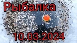 Рыбалка на поплавок 10 марта 2024 г!Я нашёл где стоит вся Рыба на этой реке ..