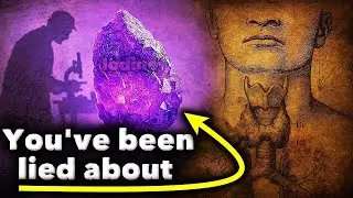 How Shady Science Turned a Vital Nutrient Into a Myth | Documentary