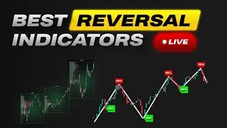 BEST Indicators on TradingView for Highly Profitable Trading (100% Backtested)