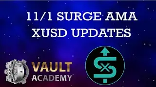 11/1/21 AMA with DeFi Mark & the Surge team