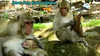 Janet hurt...in heart terrible, when mom Jane nurse only Janna, Janet just look & hungry in feeling