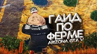 ГАЙД ПО ФЕРМЕ ОРГАНИЗАЦИЙ ARIZONA GTA 5 RP