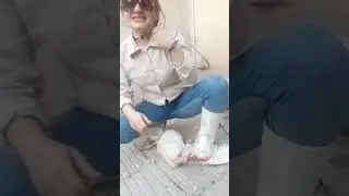 سربریدن مرغ توسط خانم،،woman slaughter chicken,,,برای کلیپ های بیشتر،عضو کانال تلگرام شوید