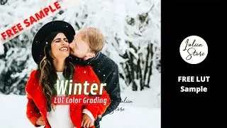 Free Film LUT WINTER After Effects | Free Reels VN LUT | Premiere Pro LUTs Free | Free Cinematic LUT