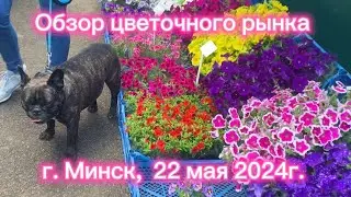 Обзор цветочного рынка. Город Минск, 22 мая 2024 г.