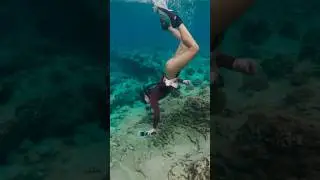 Diver girl finds shell in the reef 