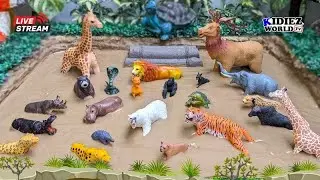 Amazing Mix Animals of the World Rescued from the Muddy Terrain | Kidiez World TV Live