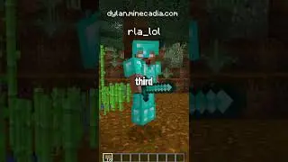 I Helped a New Player On My Minecraft Server