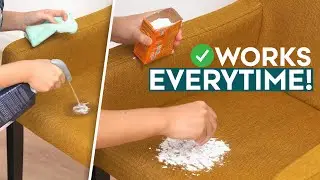 6 Easy Ways To Clean Your Fabric Furniture at Home | Comfort Works