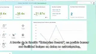 Dashboard analysis with SAP Business One powered by SAP HANA