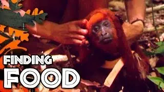 Finding Food