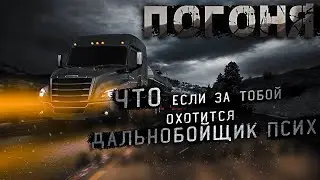 ДАЛЬНОБОЙЩИК ПСИХ - ТАИНСТВЕННЫЙ БЕНЗОВОЗ/ СТРАШНЫЕ ИСТОРИИ ДАЛЬНОБОЙЩИКОВ