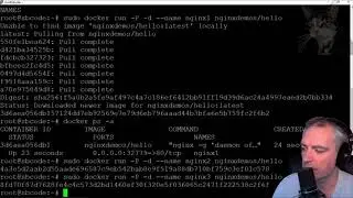 Zabbix : Running Docker Commands with Administration Scripts