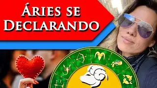 ARIANO APAIXONADO – COMO SE COMPORTA?