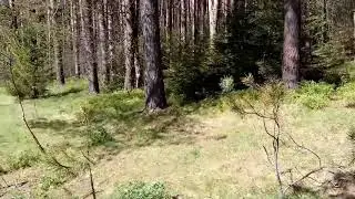 Что удалось сделать в мае на даче