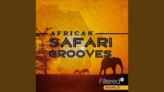 African Skies