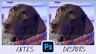 Arreglar Fotografías Movidas en Photoshop ¡Con solo 1 filtro! 😮