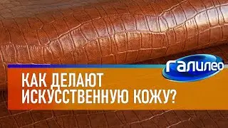 Галилео 🧥 Как делают искусственную кожу?