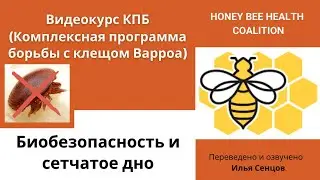 Биобезопасность и сетчатое дно от клеща Варроа как часть комлексного плана борьбы (КПБ)