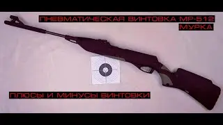 ПЛЮСЫ И МИНУСЫ ПНЕВМАТИЧЕСКОЙ ВИНТОВКИ МР-512. #МР_512 #пневматика #Мурка #Охота_с_пневматикой