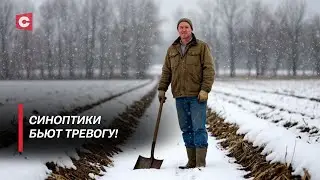 Аномальная весна! Как снег в апреле повлияет на урожай? | Прогнозы от синоптиков