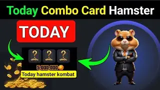 daily Combo Card Hamster Kombat || 20 August hamster kombat combo card || today combo card Hamster