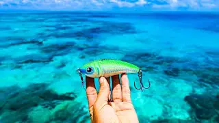 Fishing Lure that Never Fails (Reef Fish Catch n Cook).