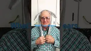 Танец ушами. Ричард купил игрушку - заячьи ушки. 