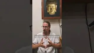 Люди проявляют сверхспособности.